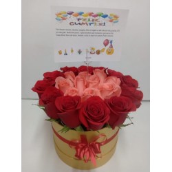 Caja redonda 24 rosas
